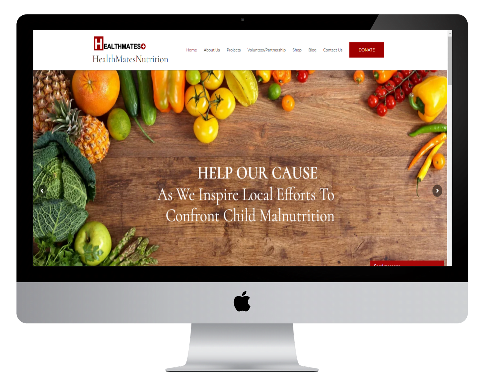 Corporate Websites for Health Mates